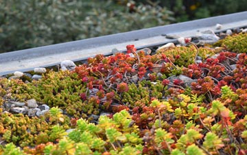 the cost of Lindley green roof installation
