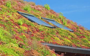 Lindley living roof systems