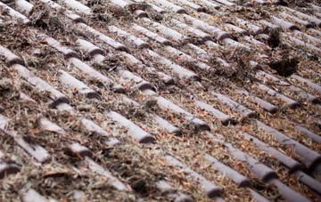 Lindley roof cleaning companies